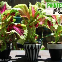 painted-flower-pots