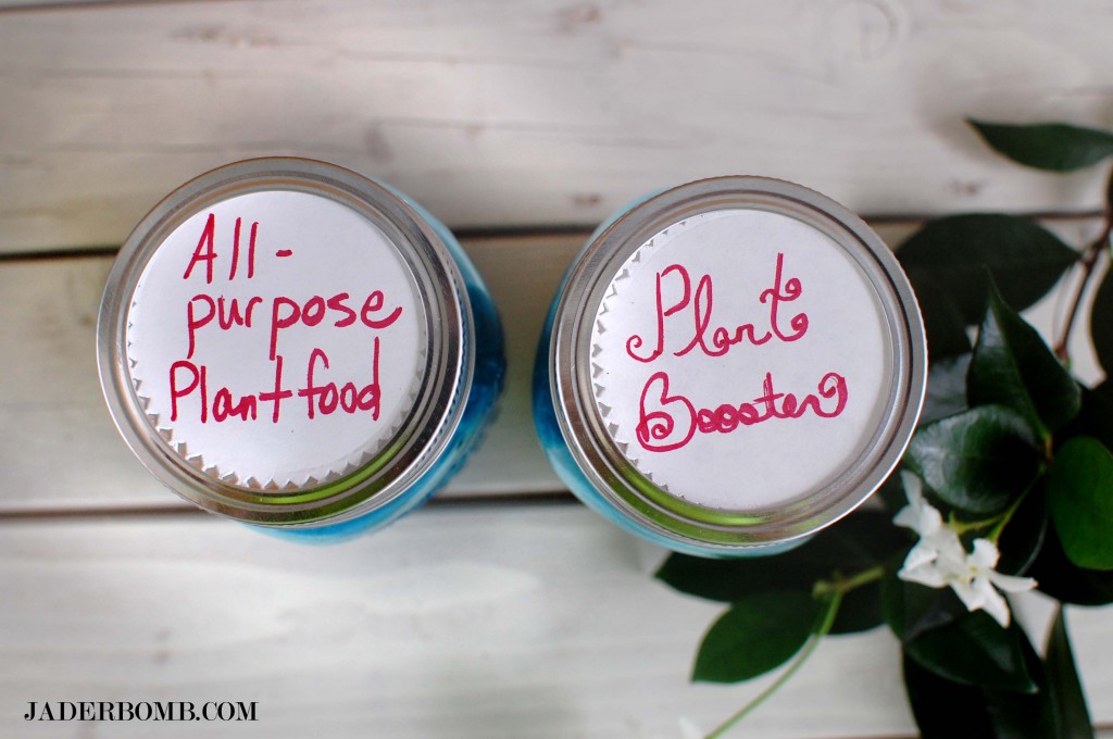  blue-mason-jar-plant-food-containers