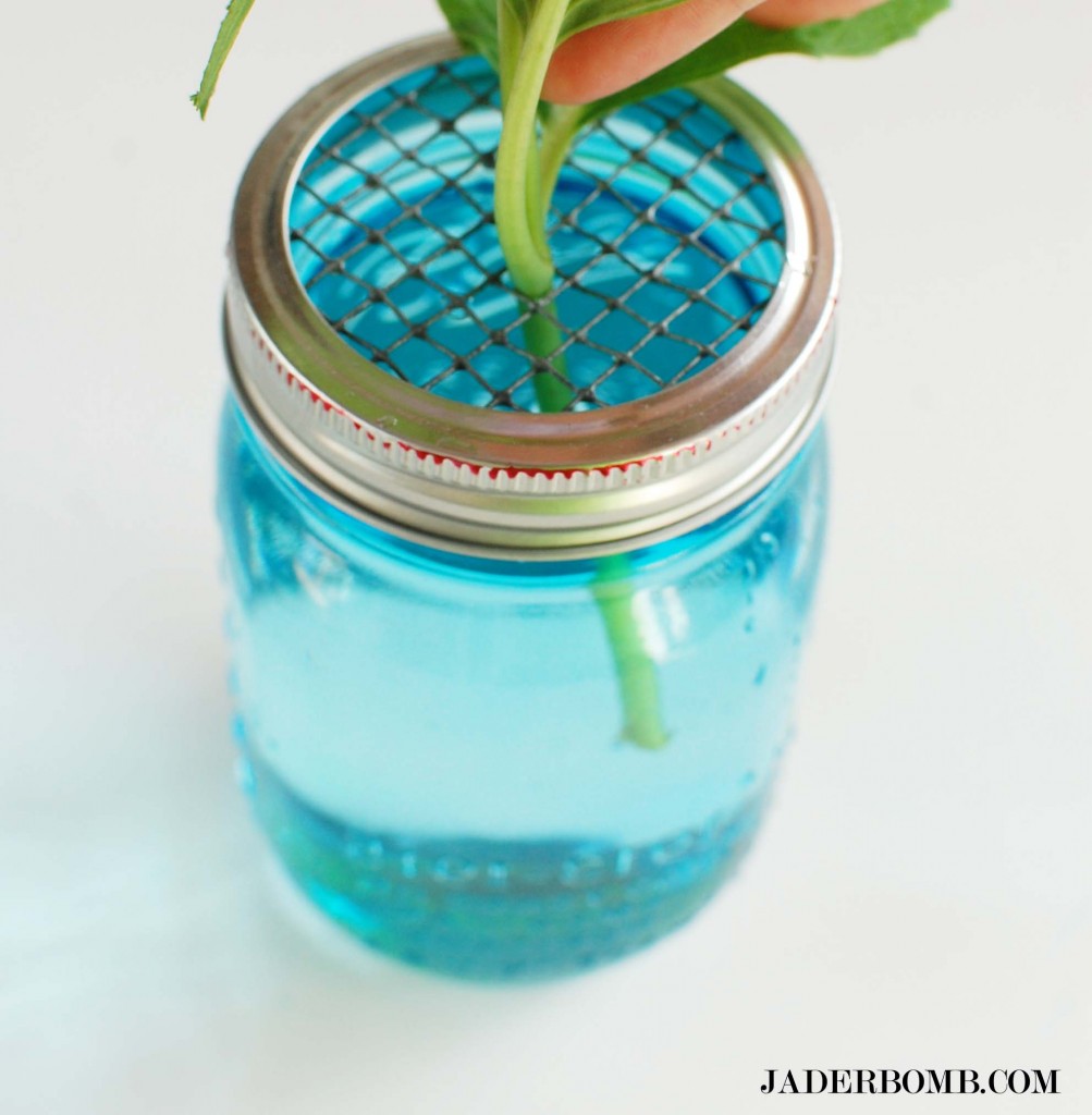 blue-mason-jar-flower-holder-jaderbomb