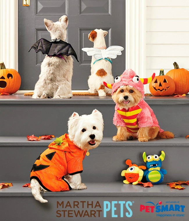 halloween-popup-mspets-halloween_vert