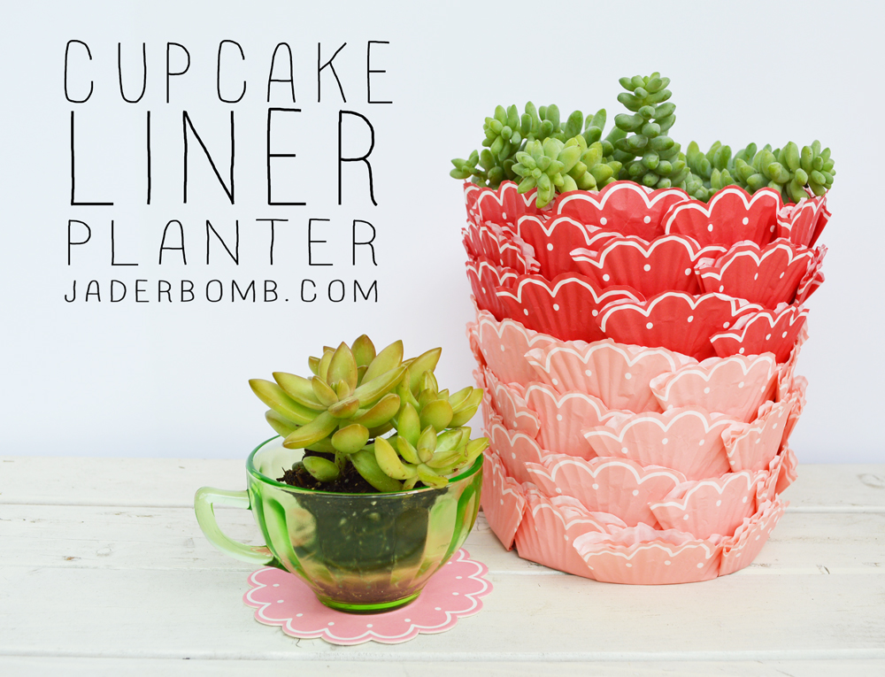 cupcake liner planter