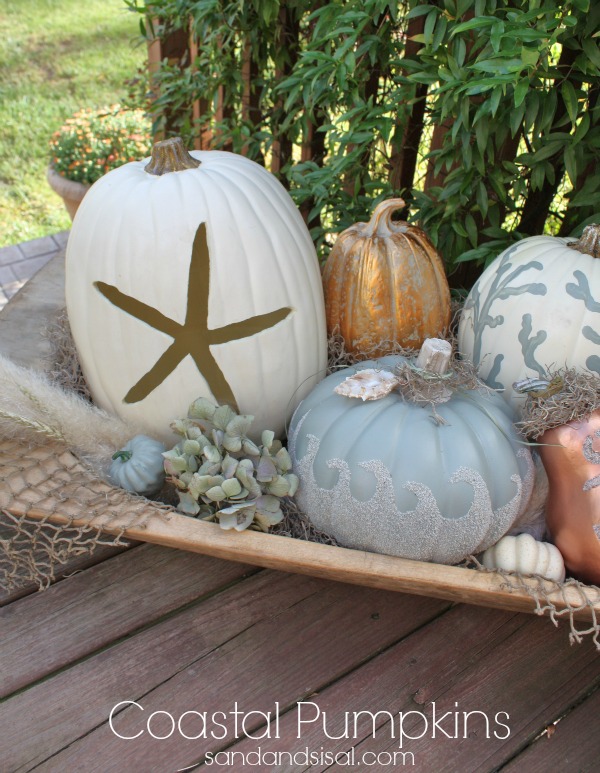 Coastal-Pumpkins-by-Sand-and-Sisal