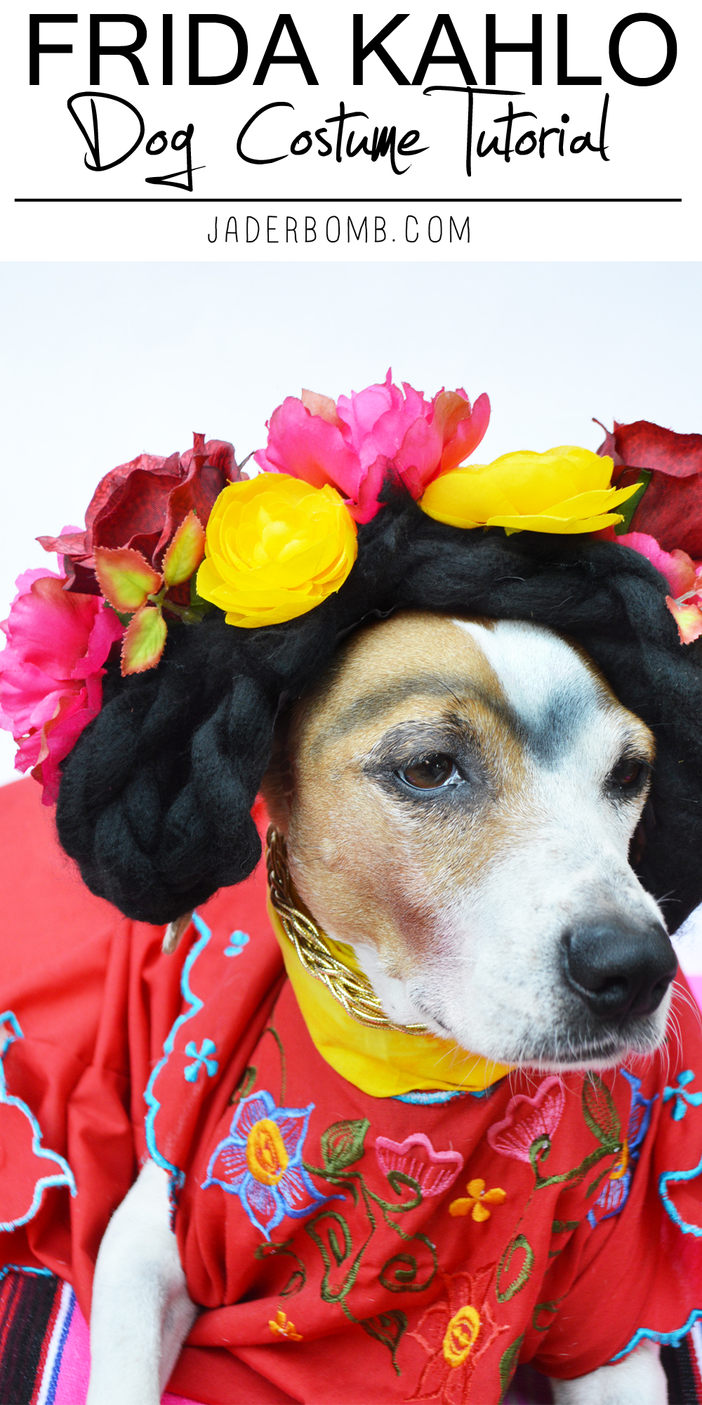 frida kahlo dog costume