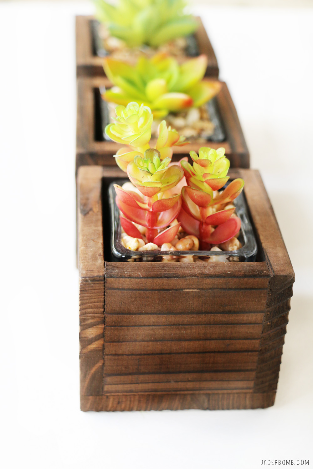 wax plant diy projects